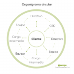 Organigrama Circular De Una Empresa