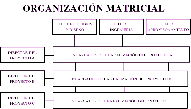 ¿qué Es Una Organización Matricial Ejemplos Y Soluciones Sinnapsemk 0628