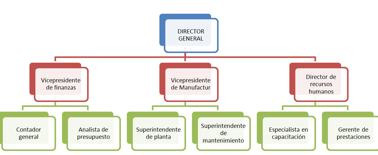 ¿qué Es La Estructura Organizacional Tipos Y Características Sinnaps