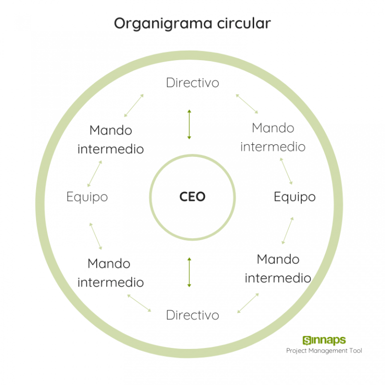 Organigrama Circular ¿cómo Funciona Con Un Ejemplo Real Sinnaps