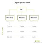 Organigrama Mixto: ¿cuándo Y Cómo Aplicarlo En Tu Empresa? | Sinnaps